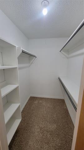 Building Photo - 1507 Lindsey Ln