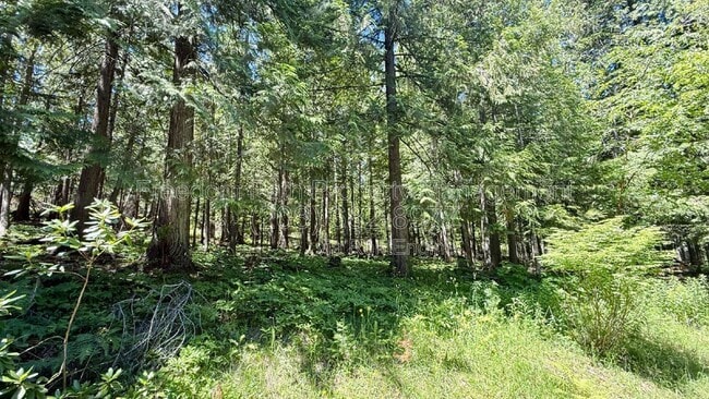 Building Photo - 166 Wildwood Ln