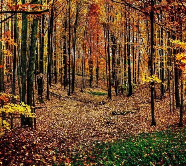 Building Photo - Epic Retreat! Fully Furnished Fall/Winter ...
