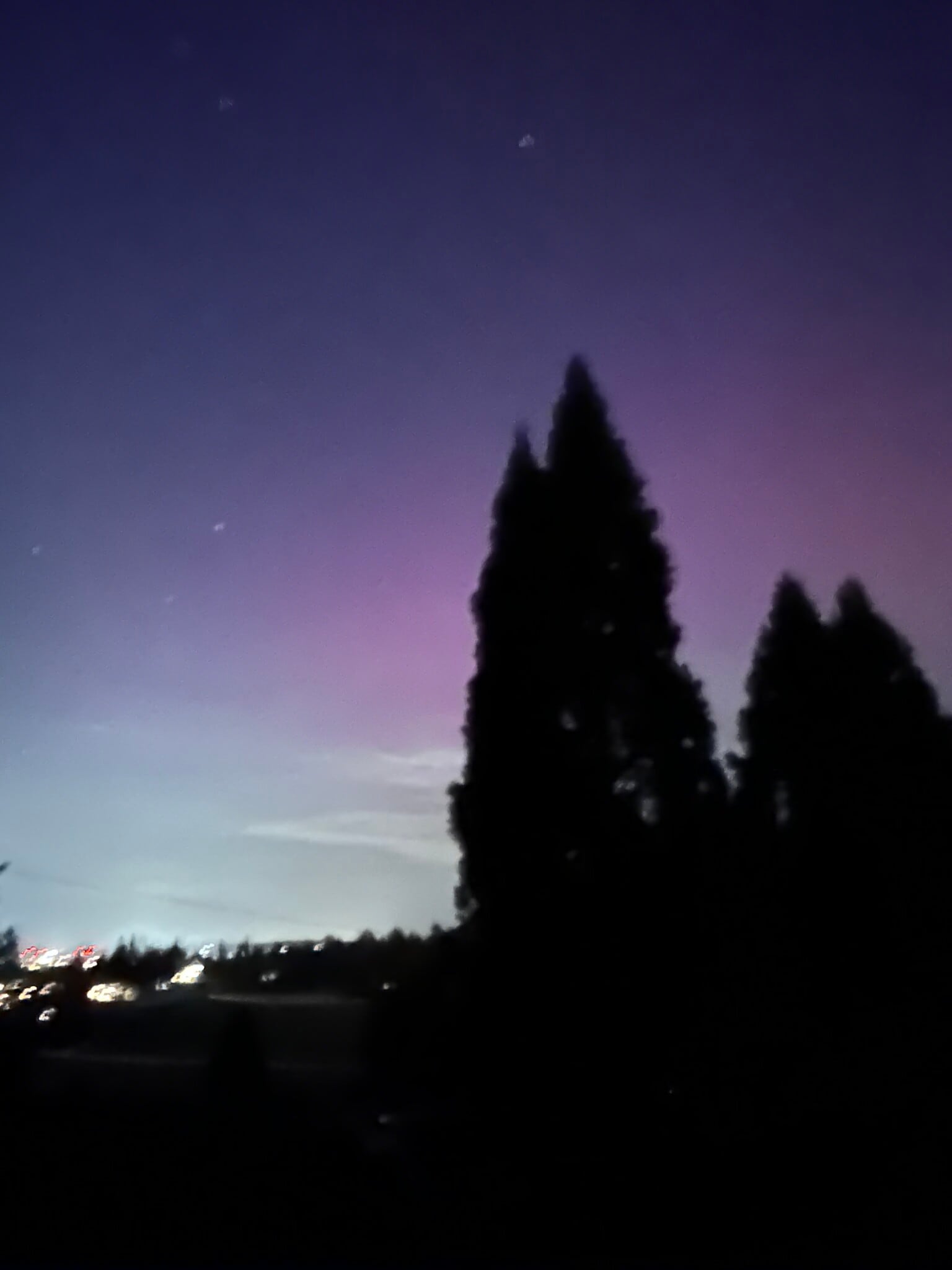 Northern Lights - 12830 141st Pl SE