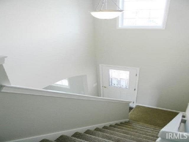 Building Photo - 14005 Aloes Psge