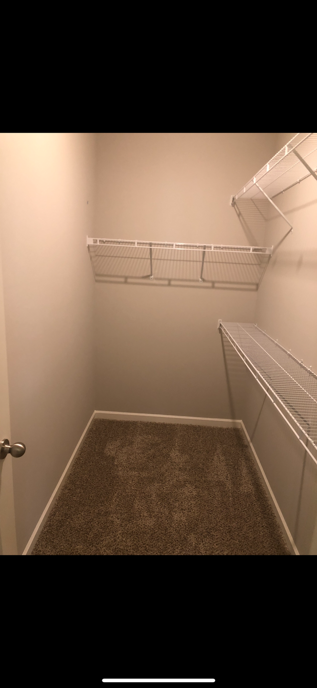 Master walk in closet - 1337 Busiris Dr