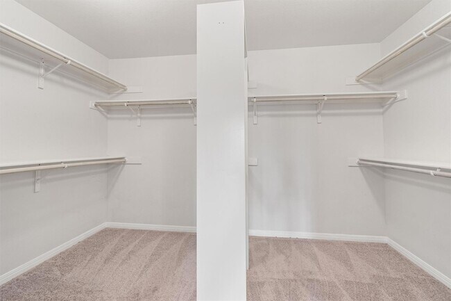 Building Photo - 803 Cashew Ln