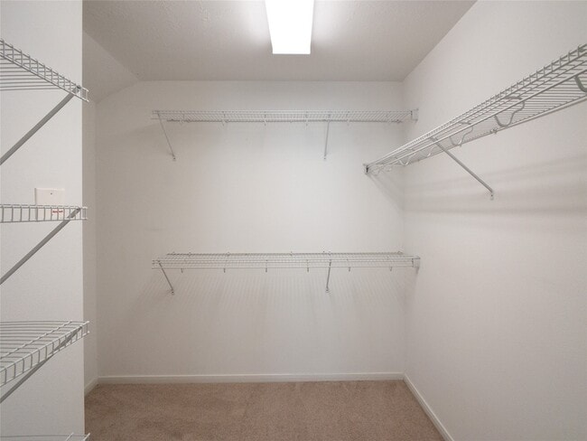 Building Photo - 5406 Timber Ct Hollow