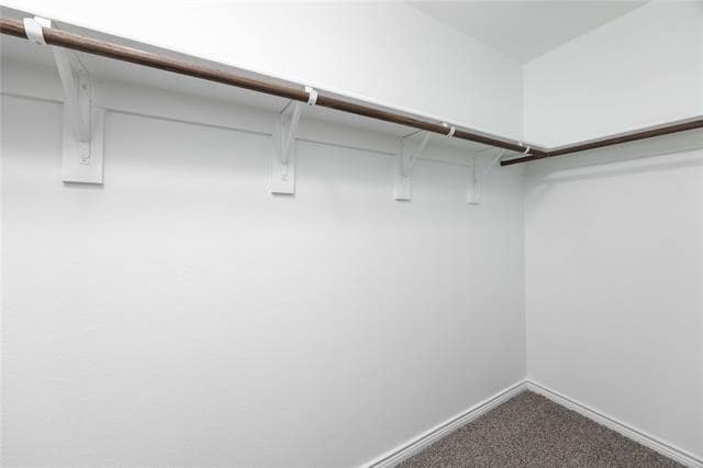 Building Photo - 719 Cool Cyn Trl