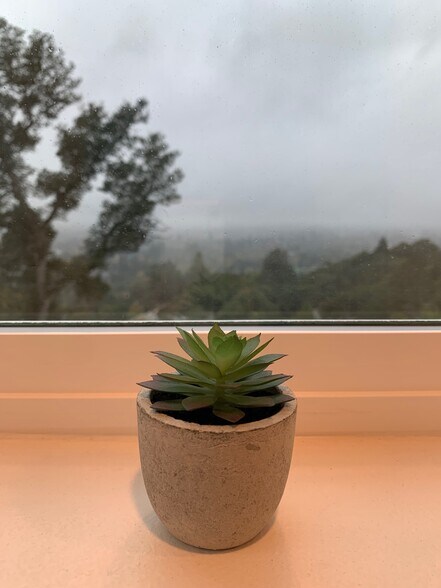 Building Photo - 1195 Wikiup Dr