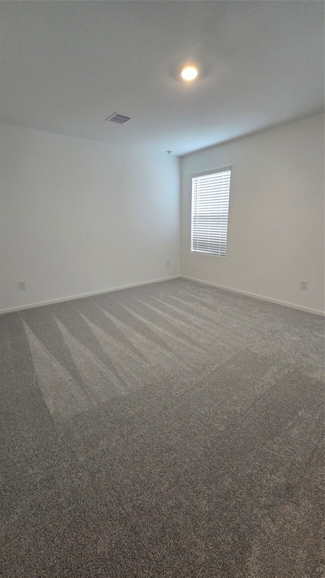 Building Photo - 27019 Turtle Vis Dr