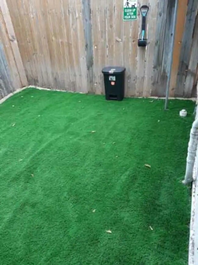 Dog Run Area - 1801 W Craig Pl