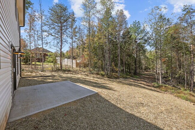 Building Photo - Stunning New Build!