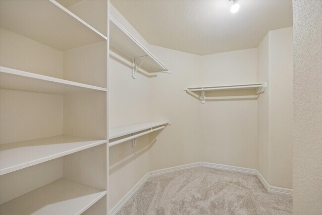 Building Photo - 10108 Hidden Creek Falls Ln