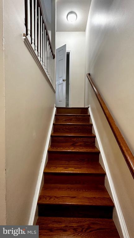 Building Photo - 5035 Cool Fountain Ln