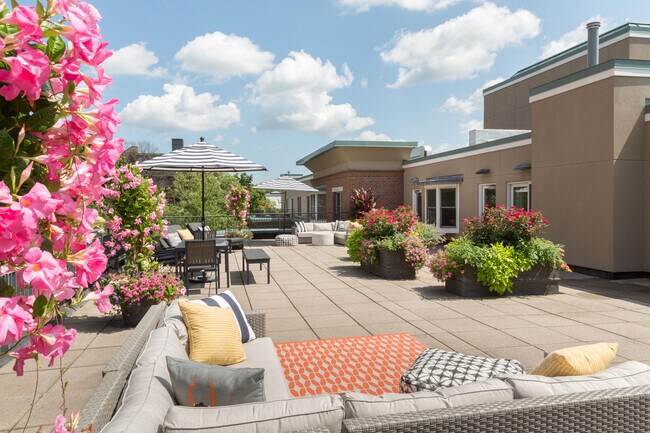 Building Photo - 1405 Beacon St