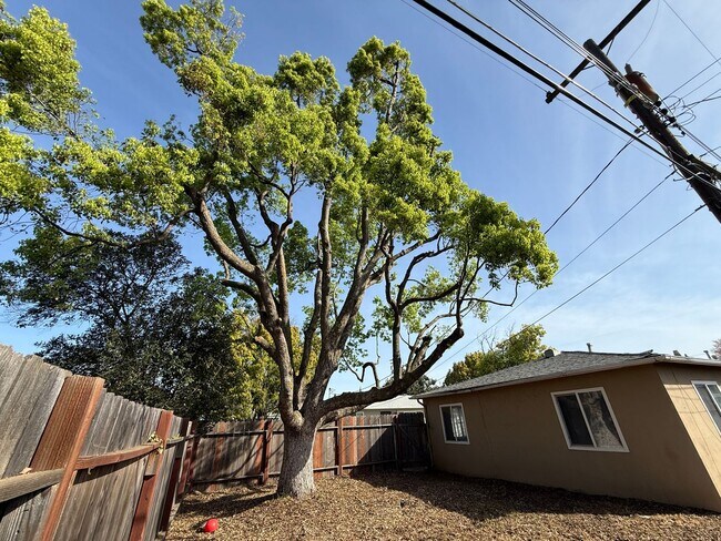 Building Photo - 4590-4592 73rd St, Sacramento, CA 95820