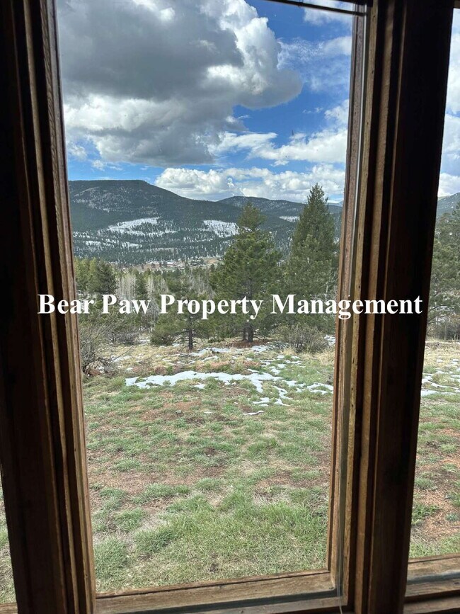 Building Photo - "Charming 1-Bedroom Retreat in Bailey, CO ...