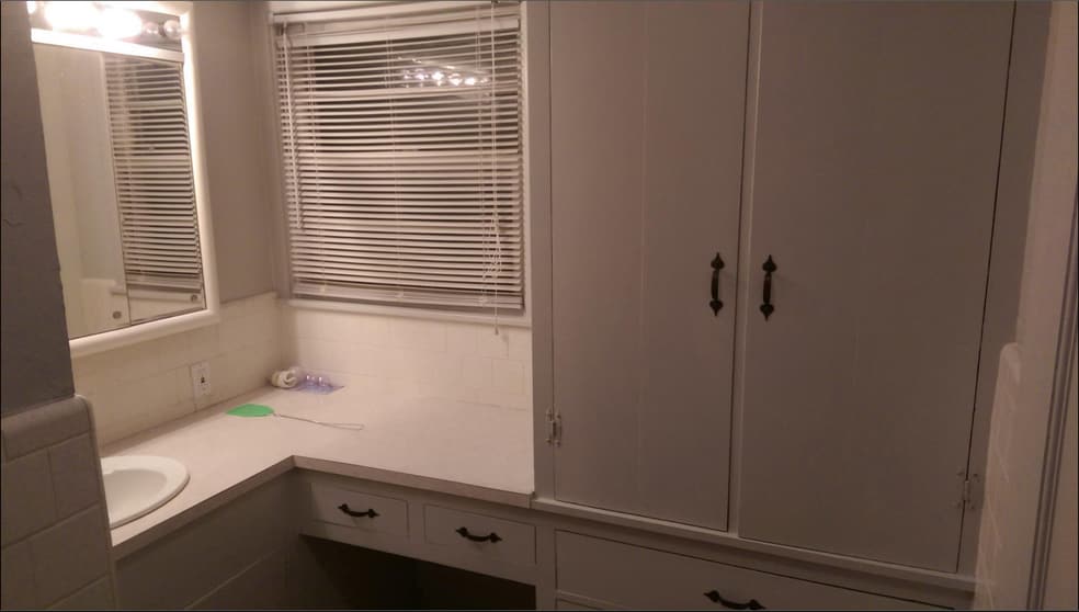 bathroom counter and storage - 4016 46th St