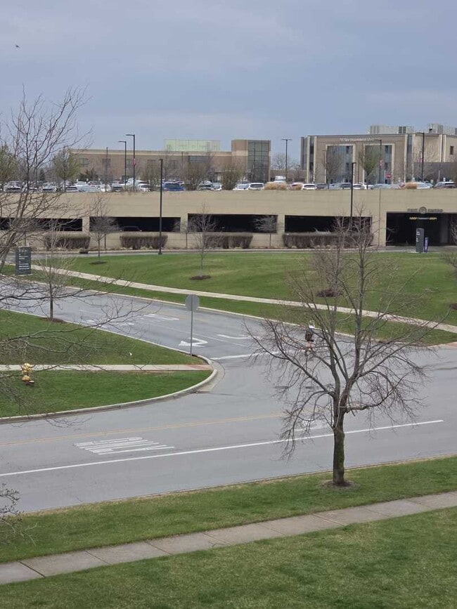 Building Photo - 9950 Treetop Dr