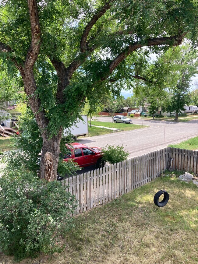 Yard w/ privacy fence - 110 E Hickory St