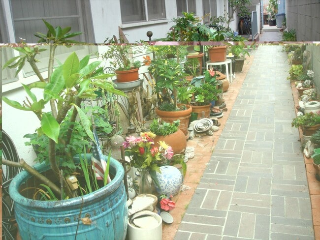 walkway to unit - 225 Bay St