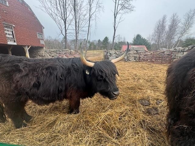 Building Photo - 125 Grapevine Rd