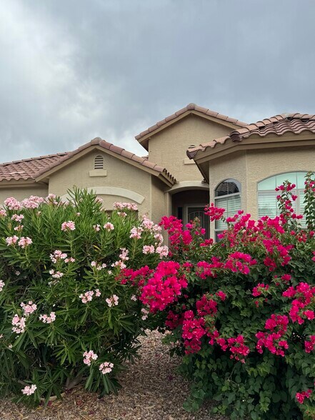 Front yard - 10433 W Carlota Ln