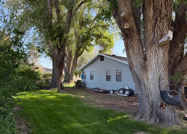 Building Photo - Cute Lehi rambler with tons of yard space and trees!