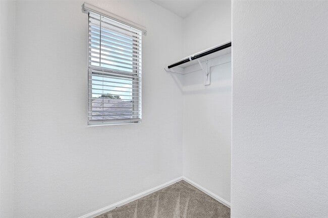 Building Photo - 24027 Wandering Brk Dr