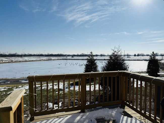 Building Photo - 5963 Hawkweed Dr