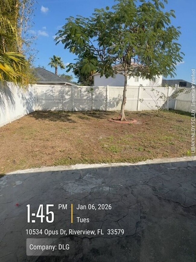 Building Photo - 3 Bd/2 Bath fully renovated home in South Fork