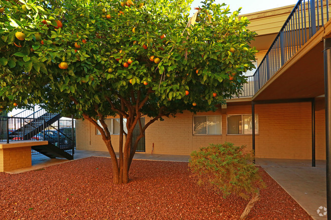 Building Photo - Tierra Sol