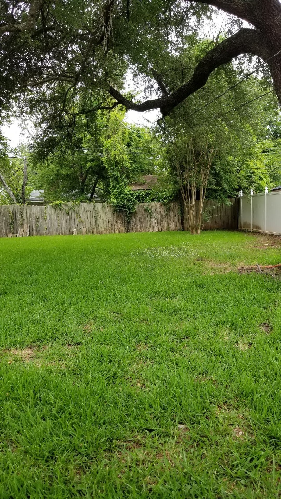 Building Photo - 2520 Melrose Ave