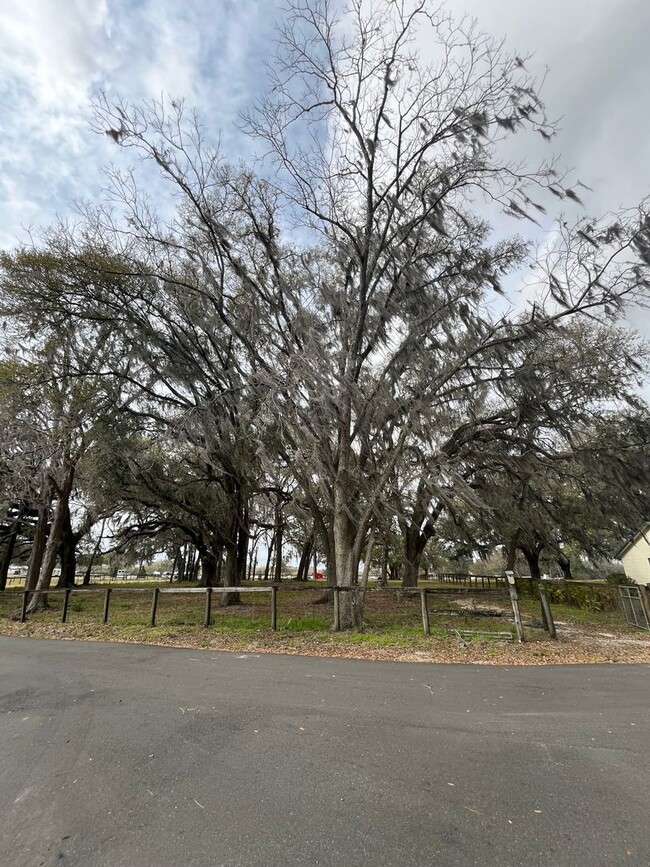 Building Photo - 4/3 Ocala HITS Stalls/RV Hook-Ups/Paddocks...