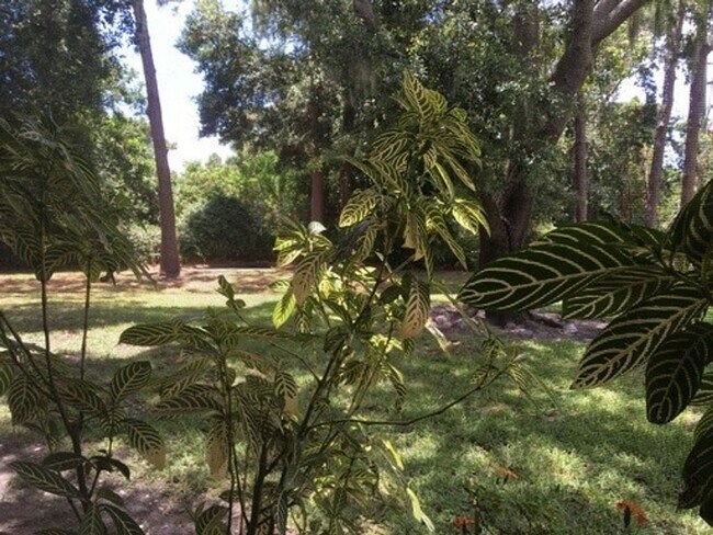 Building Photo - Ground Floor Condo at Magnolia Place