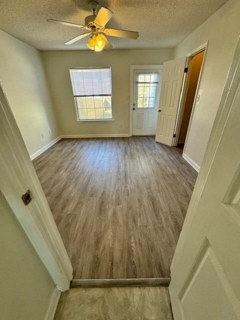 Building Photo - 2820 Saw Palmetto Ln