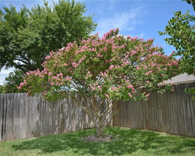 Building Photo - Charming 3 Bed 2 Bath Home in West Fort Worth