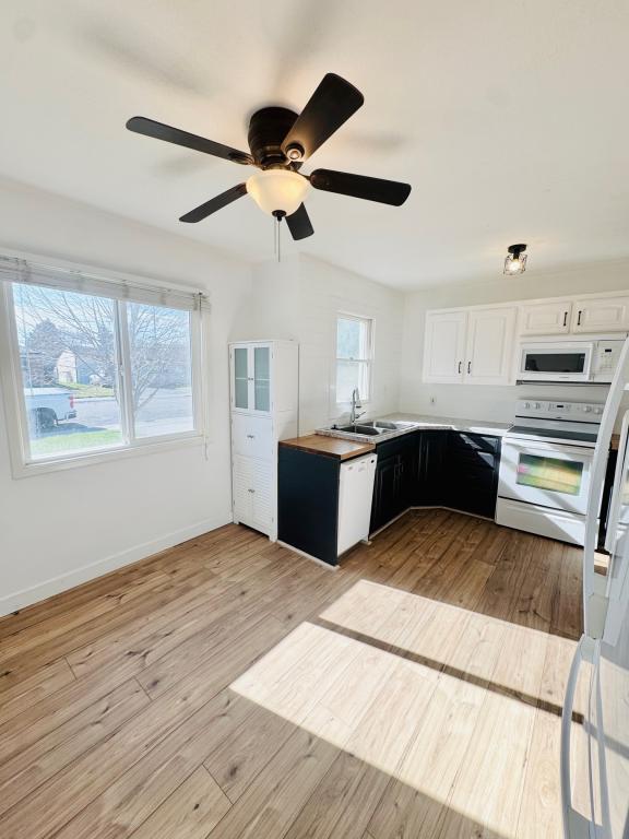 Building Photo - 410 Holbrook Dr