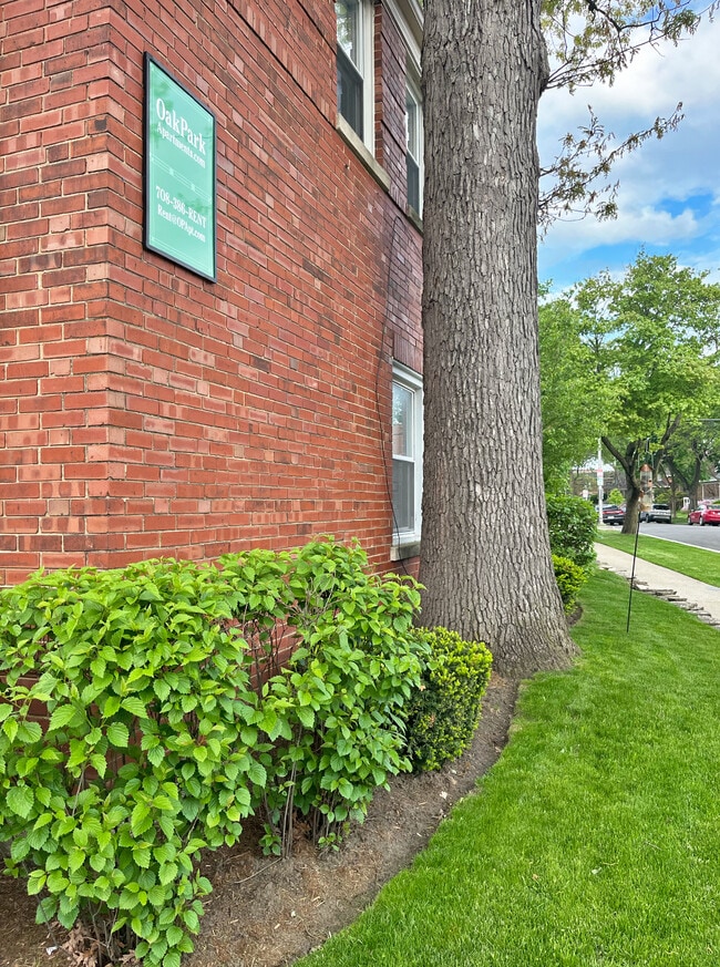 Building Photo - 527-533 Des Plaines Ave. and 7624-7626 Wilcox