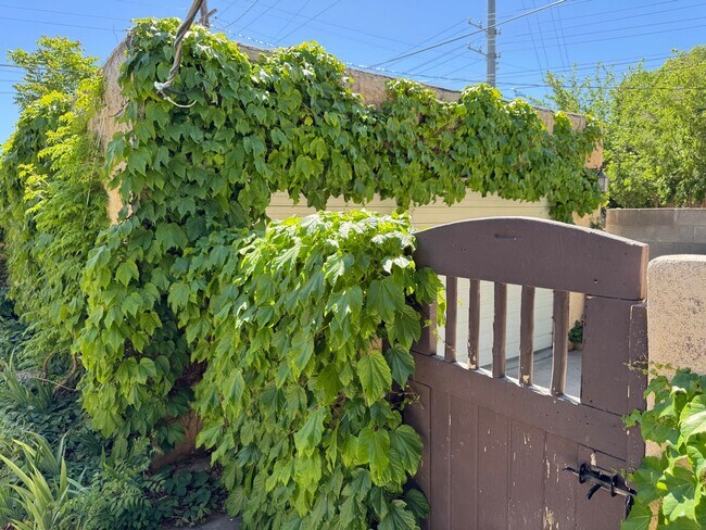 Building Photo - North Campus Gem!