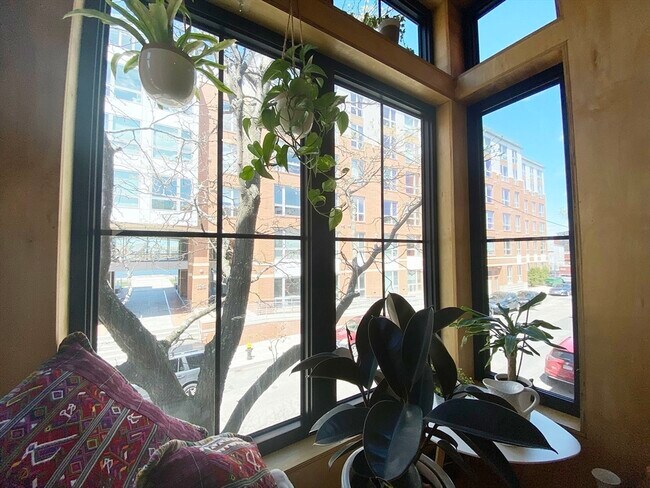 Building Photo - 139 Border St