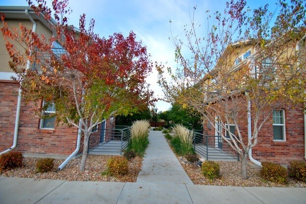 Courtyard - 319 Quebec St