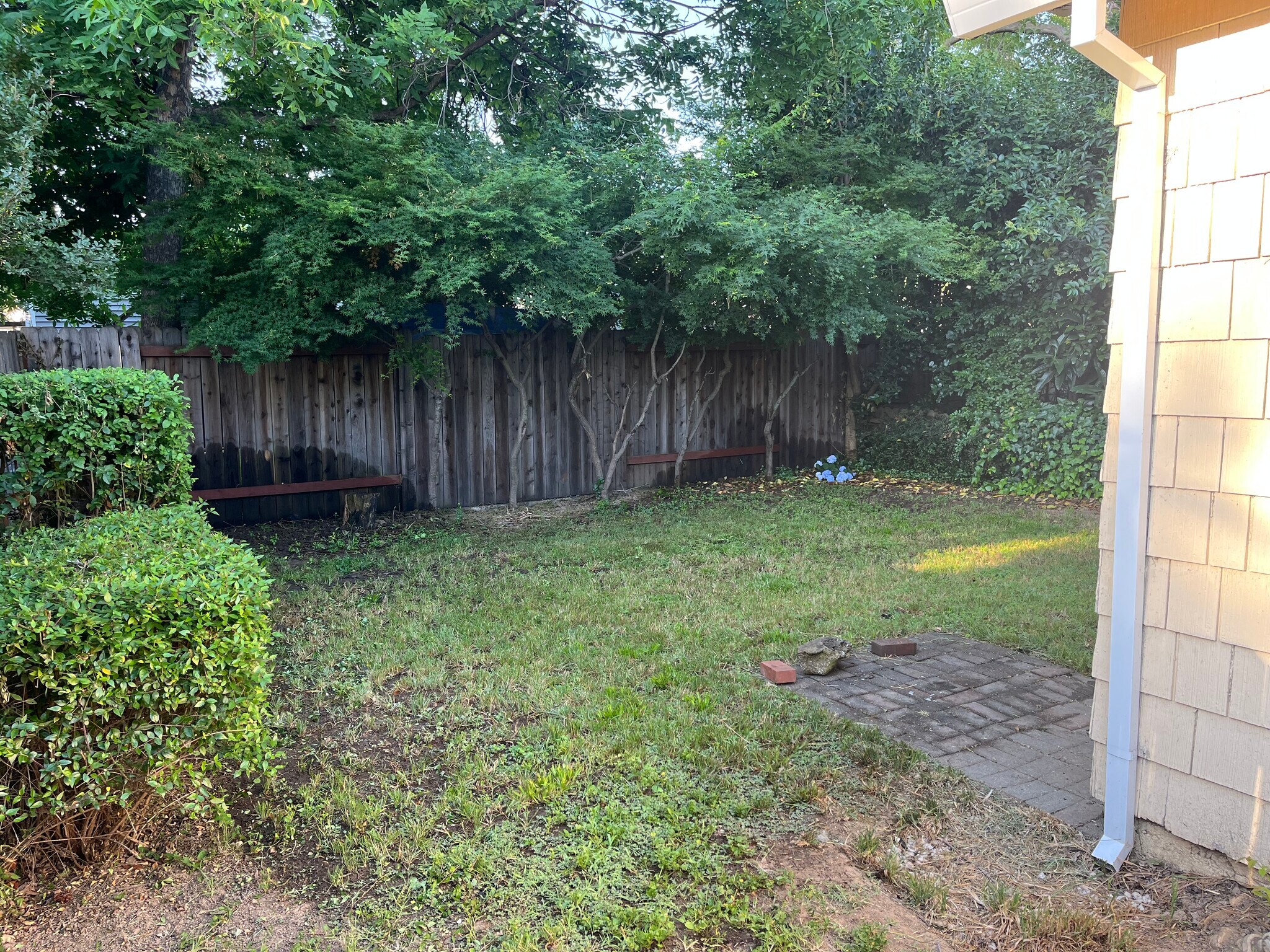 Private Backyard - 844 Taber Ave