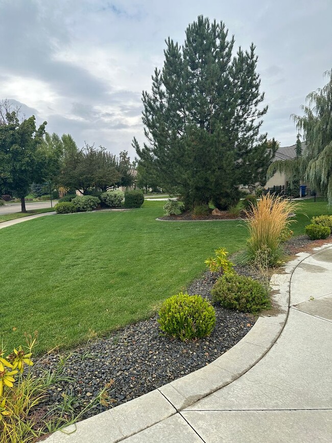 Building Photo - Exquisite Corrente Bello Home in Eagle