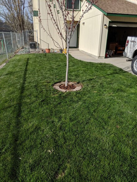 Front yard of property. - 2115 Pleasanton St