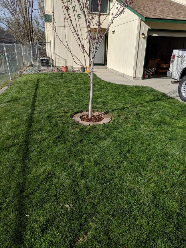 Front yard of property. - 2115 Pleasanton St