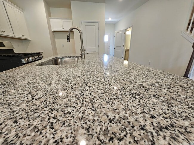 Building Photo - Beautiful Townhome in North Charlotte