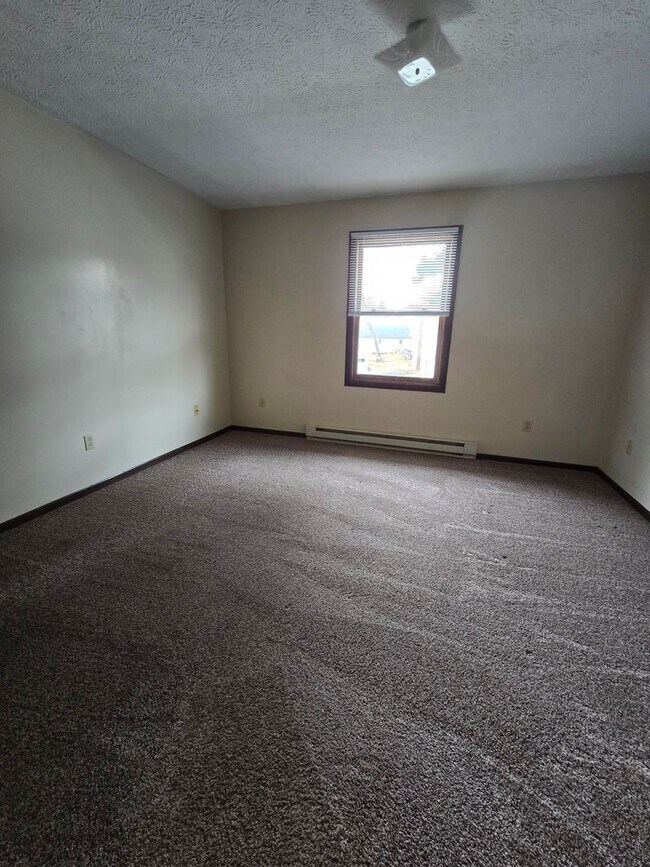 Building Photo - 20a Paul St