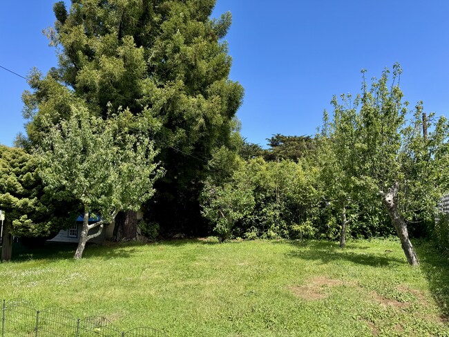Building Photo - Charming Craftsman in Bandon Heights | 3 Bed / 2 Bath | Ocean & River Views