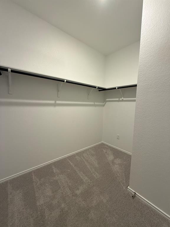 Building Photo - 163 Cibolo Crk Lp