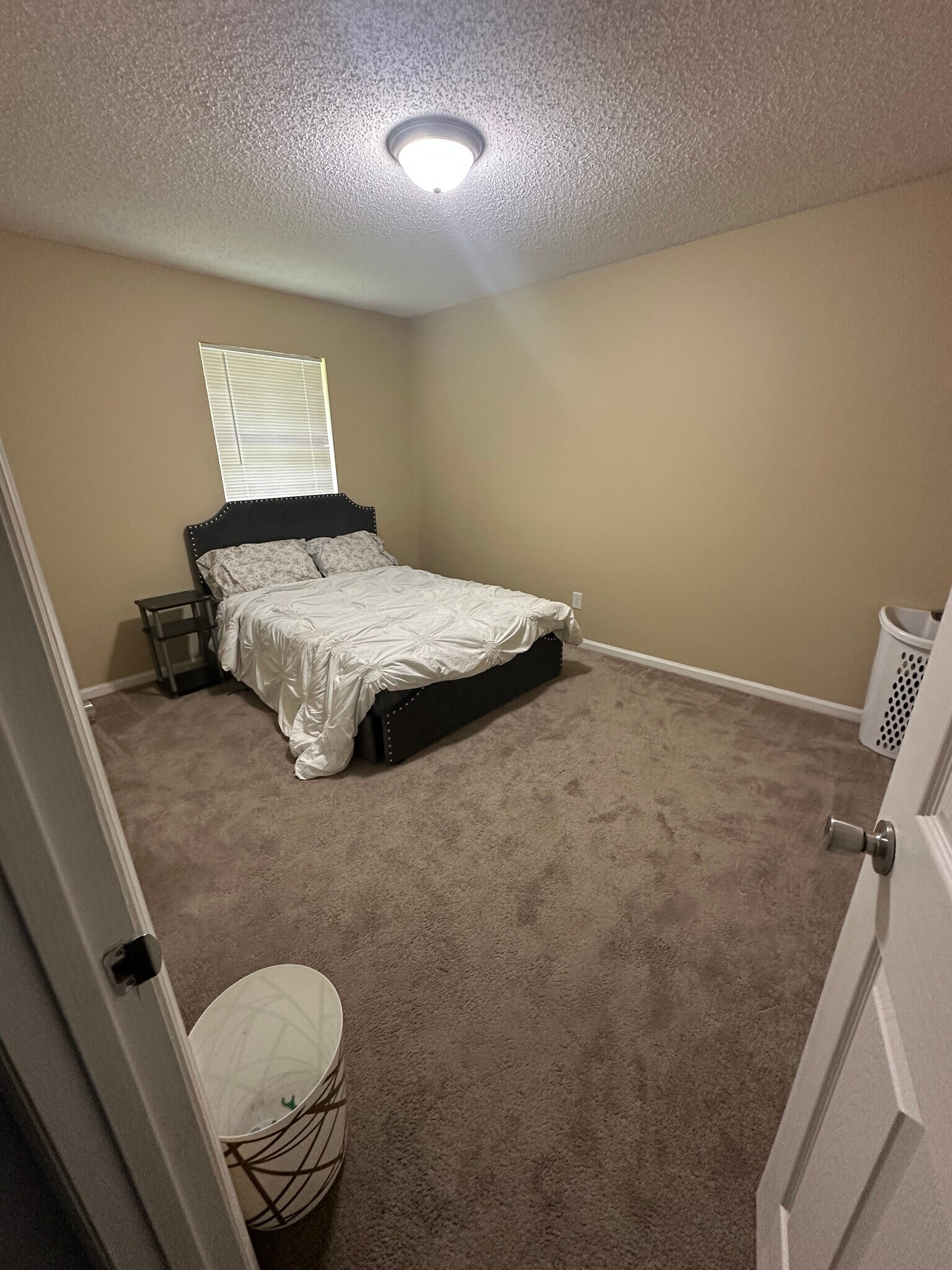 Bedroom 2 - 669 Windhaven Dr