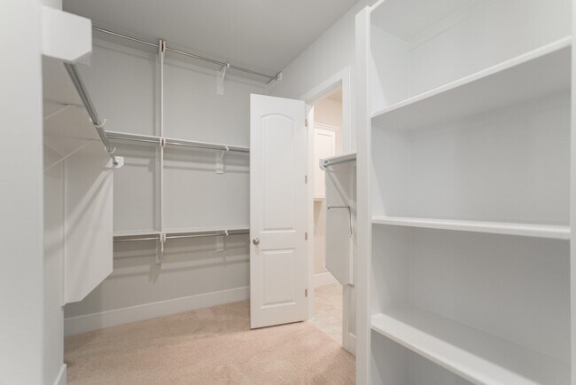 Building Photo - 49 Cassena Grove Pl