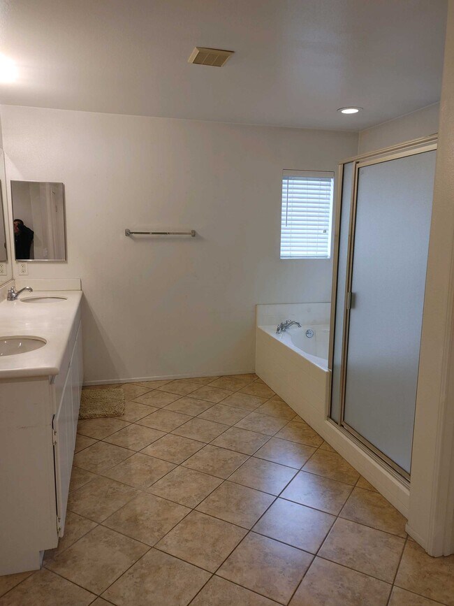 Master Bathroom - 17528 Yellowwood Way